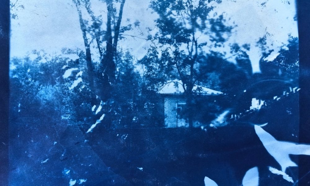 Художники рисуют для BURO.: Анастасия Безвершук — о Сибири, свете и неуловимости