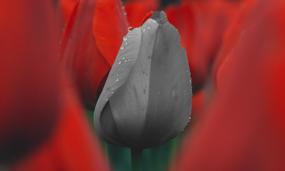 Менопауза: симптомы, о которых не любят рассказывать врачу. Что с ними делать?