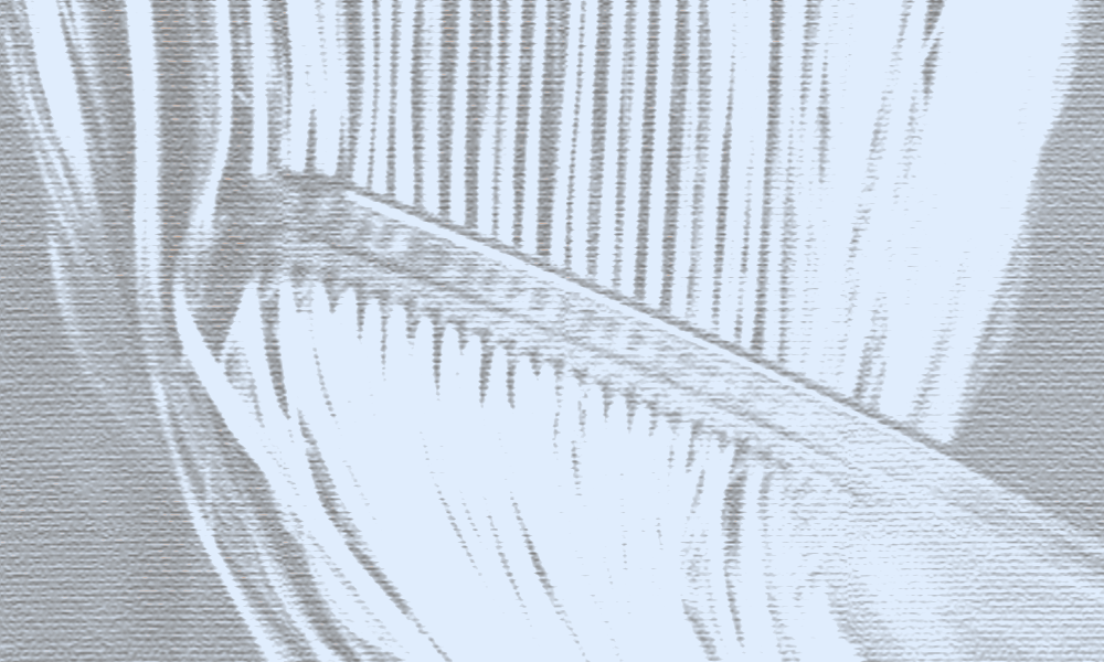 Какой уход нужен разным типам волос? Отвечает эксперт