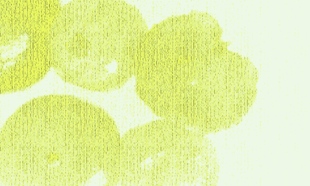 Что влияет на скорость пищеварения, и есть ли продукты, которые не стоит сочетать? Отвечает эксперт