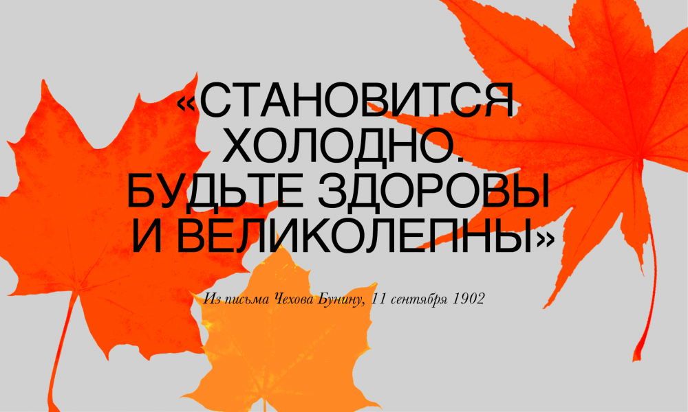 10 неизбитых цитат про осень, которыми можно подписать свои фото в инстаграме