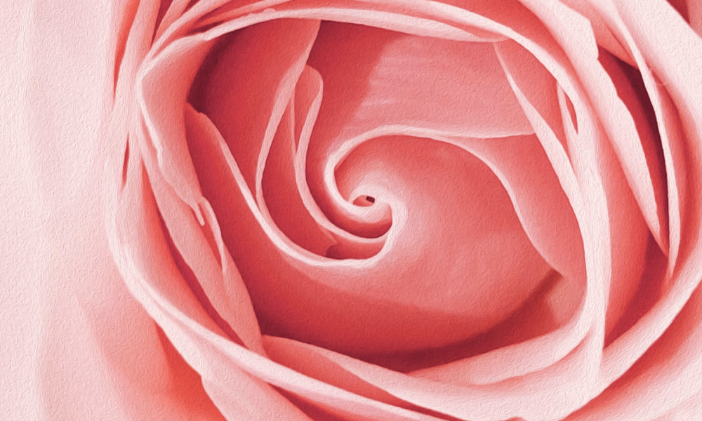 Чек-лист: как выбрать хорошего гинеколога