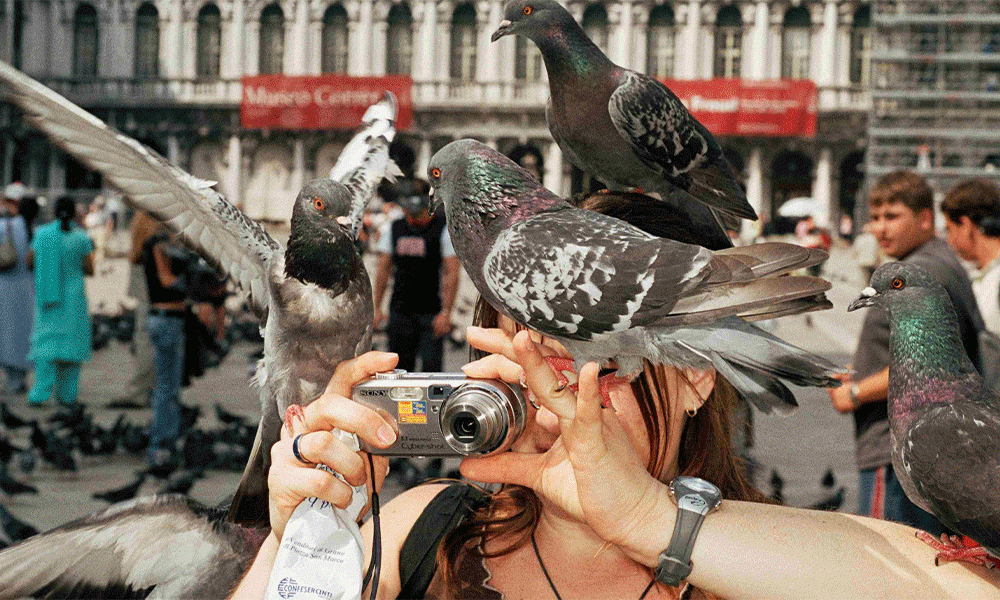 «Время брутализма» и «Я — Мартин Парр»: что смотреть на Beat Weekend 2025. Выбор BURO.