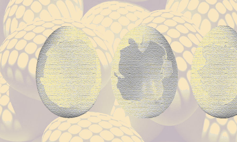 Вредны или полезны яйца? Разбираемся, стоит ли включать их в рацион