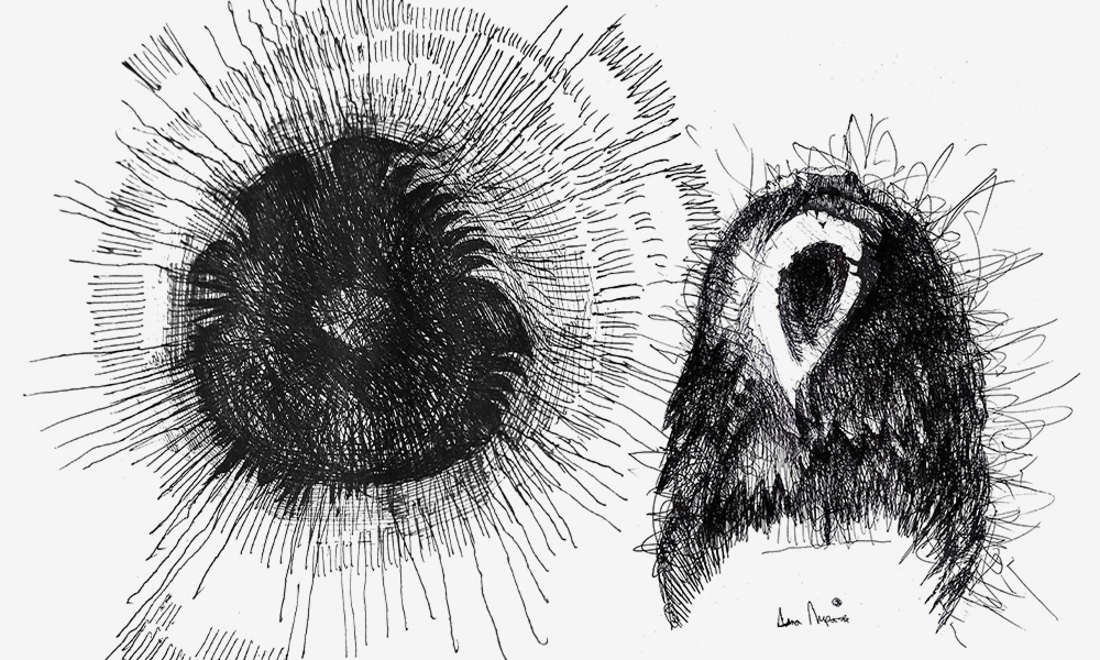 Художники рисуют для BURO.: Даня Пирогов — о страхе перед природными силами