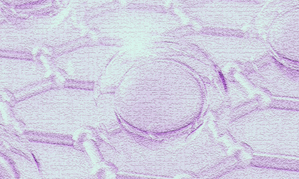Коллаген и пищевые добавки: в каких продуктах искать источник белка и как он усваивается