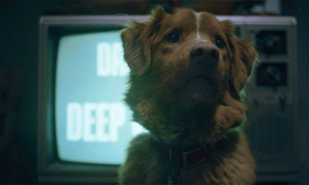 Больше, чем страх: пять умных и тонких хорроров, вышедших в 2025 году