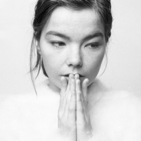 Бьорк стала участницей Московской биеннале современного искусства