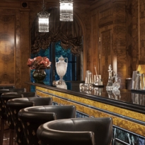 Санкт-Петербург посетит знаменитая девушка-бармен из Тель-Авива