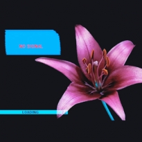 Pitti Uomo 92 украсят цветочными экспозициями