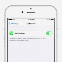 По WhatsApp можно будет передавать файлы любого формата
