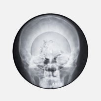 Все о выставке «Музыка на костях» в «Гараже»