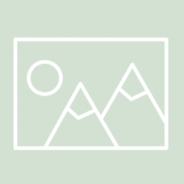 Сознательный туризм, или Зачем смотреть на птиц и ездить на лесотерапию