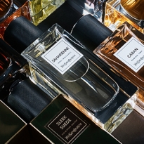 Парфюмерный гардероб Yves Saint Laurent — в съемке Buro 24/7