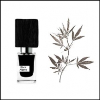 Новый бьюти-тренд: косметика с коноплей в составе