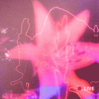 Прямая трансляция показа Prada, осень-зима 2019