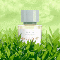 Не жалейте заварки: 11 чайных ароматов