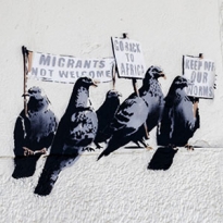 В Мельбурне пройдет масштабная выставка работ Бэнкси