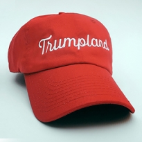 13 лучших журнальных обложек о выборах в США