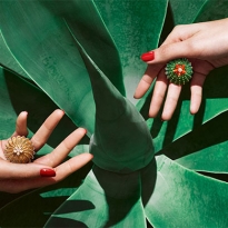 Свободная духом: коллекция украшений Cactus de Cartier