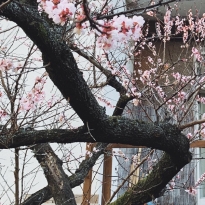 Коронавирус в Польше и Беларуси: дневник карантина видеографа, который следит за ситуацией в Минске из Варшавы