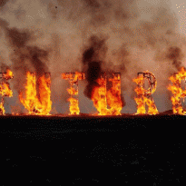 Красноярск, Екатеринбург и Нижний Новгород: уличное искусство России на выставке «Стрит-арт столицы»