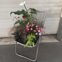 BURO. на выход: светский календарь недели