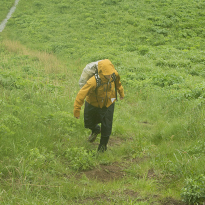 Планируете трекинг на Алтае? Сплав по Ладоге? Горный поход на Кавказе? Вот обувь, которая вам точно пригодится