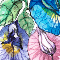 Художники рисуют для BURO.: спецвыпуск в поддержку Юлии Цветковой