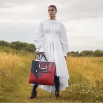 Сумка Tall Story Alexander McQueen. Своя история