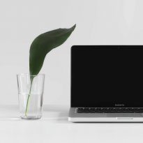 Как работать 24/7 и оставаться здоровым и полным сил