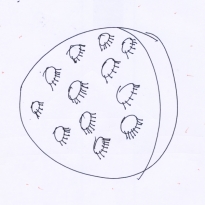 Художники рисуют для BURO.: Николай Филиппов