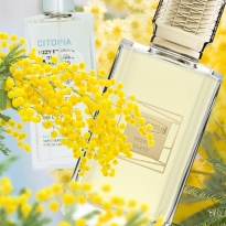 Вишневая кола, пушистая мимоза и детская присыпка — в новых ароматах марта