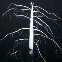 Художники и кураторы — о том, что для них значит программа «Молодые львы» в MMOMA