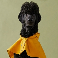 PittiPets: 5 брендов одежды и аксессуаров для пёсиков с выставки Pitti Uomo