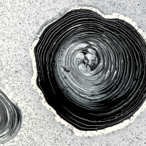 Как поддерживать митохондрии в холодный период? Отвечает нутрициолог