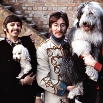 Смотрим отреставрированный клип The Beatles на песню A Day in the Life