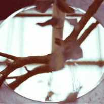 BURO. на выход: светский календарь недели