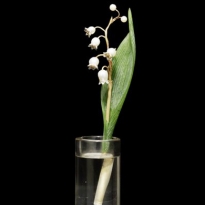 Рерих, Ге и предметы Фаберже на русских торгах Bonhams