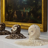 Почему нужно обязательно посмотреть выставку Яна Фабра в Эрмитаже