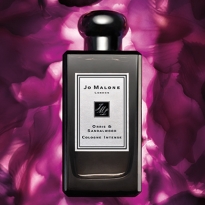 Новый аромат Orris & Sandalwood от Jo Malone London