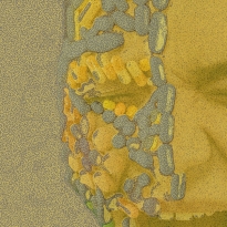 Лечение онкологии без доказательств: как не попасть в сети мошенников