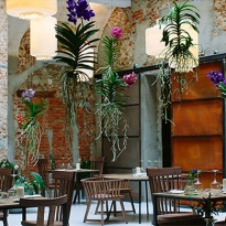 Ресторан La Ménagère во Флоренции: сюрреализм заказывали?