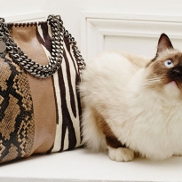 Женщины и кошки в новом лукбуке Stella McCartney