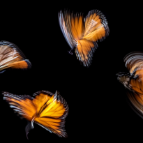 Канцерофобия: почему возникает и как справиться