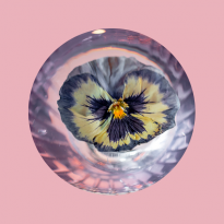 Бразильский Rio, кисло-сладкая «Воздвиженка» и новая классика: где пробовать коктейли в Москве