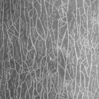 Как формируется целлюлит и почему кремы не работают