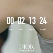 Прямая трансляция показа Christian Dior, коллекция весна-лето 2019