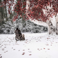 Главные достижения и досадные промахи «Игры престолов»