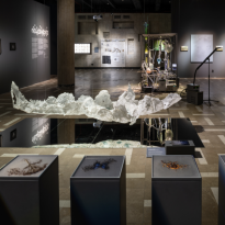 Кураторский гид по выставке New Elements в Новой Третьяковке